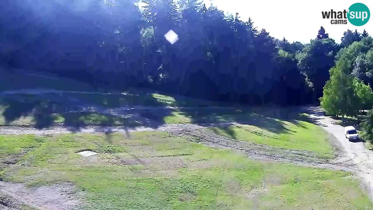 Web Camera Pohorje Trikotna Jasa | Poštela