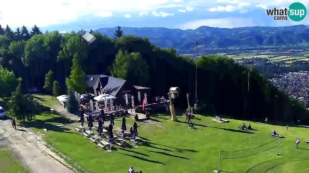 Web Camera Pohorje Trikotna Jasa | Poštela