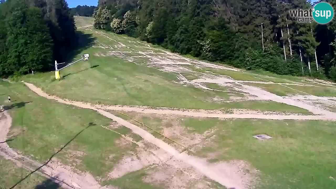 Spletna Kamera Pohorje Trikotna Jasa | Poštela