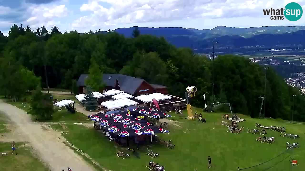 Webcam Pohorje Trikotna Jasa | Poštela