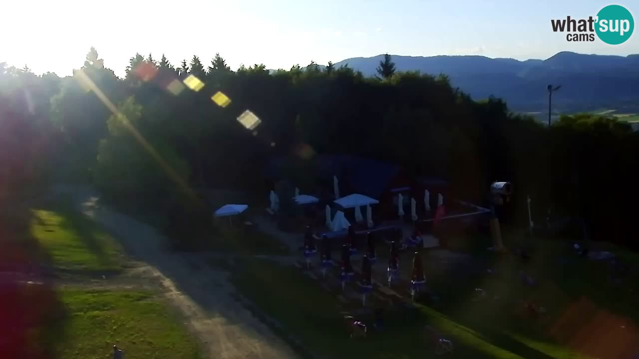 Web Camera Pohorje Trikotna Jasa | Poštela