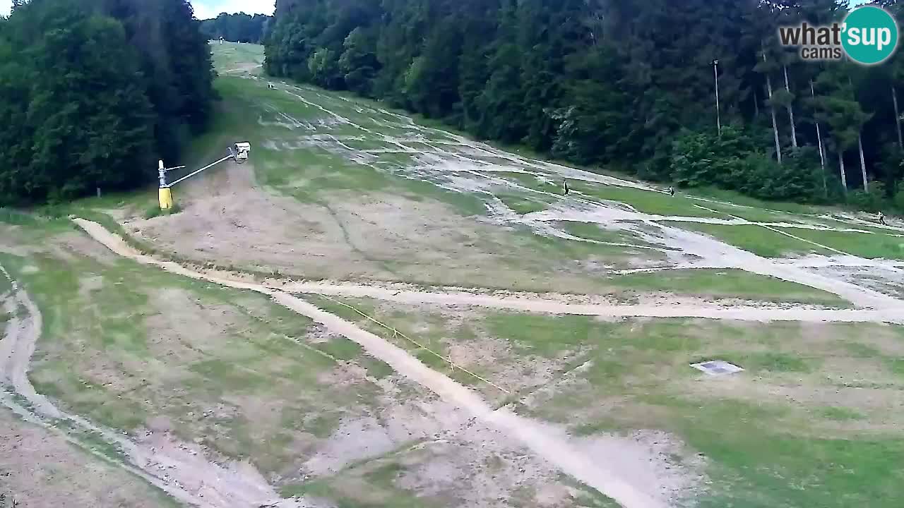 Webcam Pohorje Trikotna Jasa | Poštela