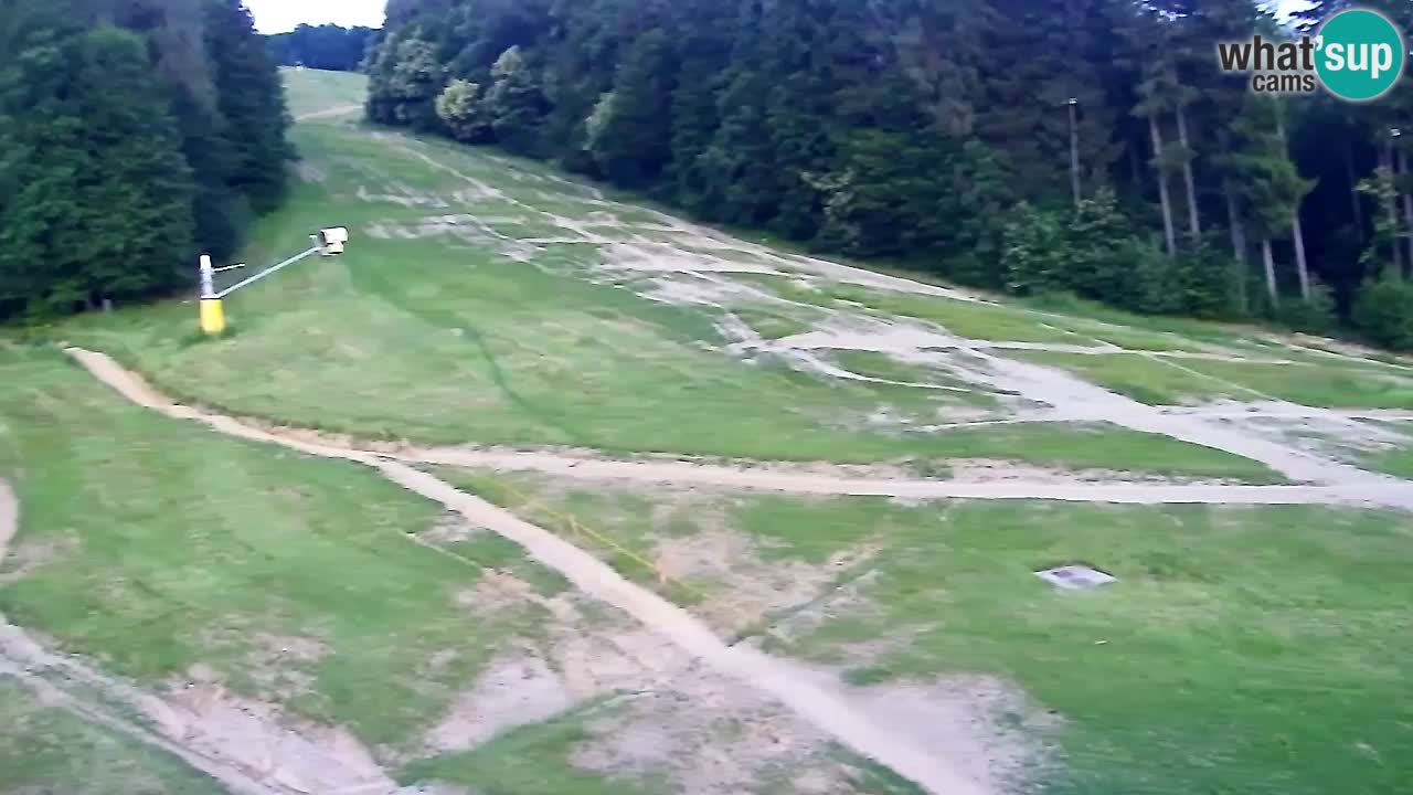 Web Camera Pohorje Trikotna Jasa | Poštela