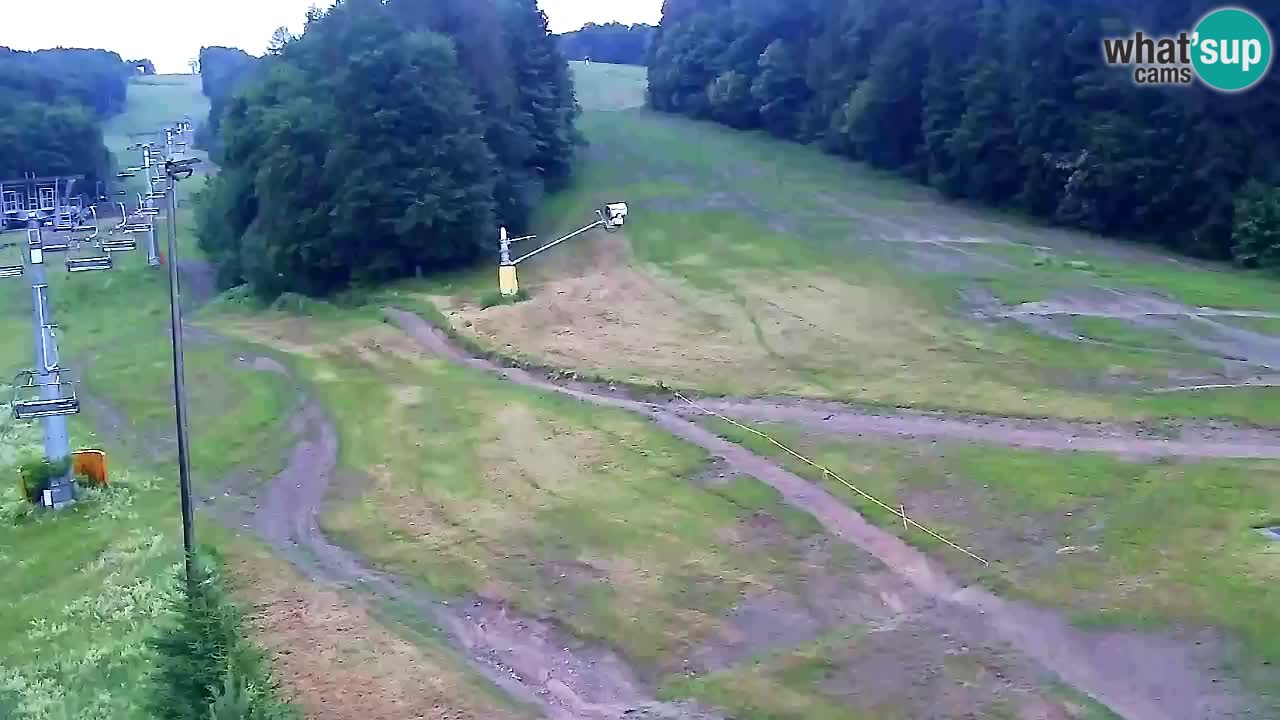Webcam Pohorje Trikotna Jasa | Poštela