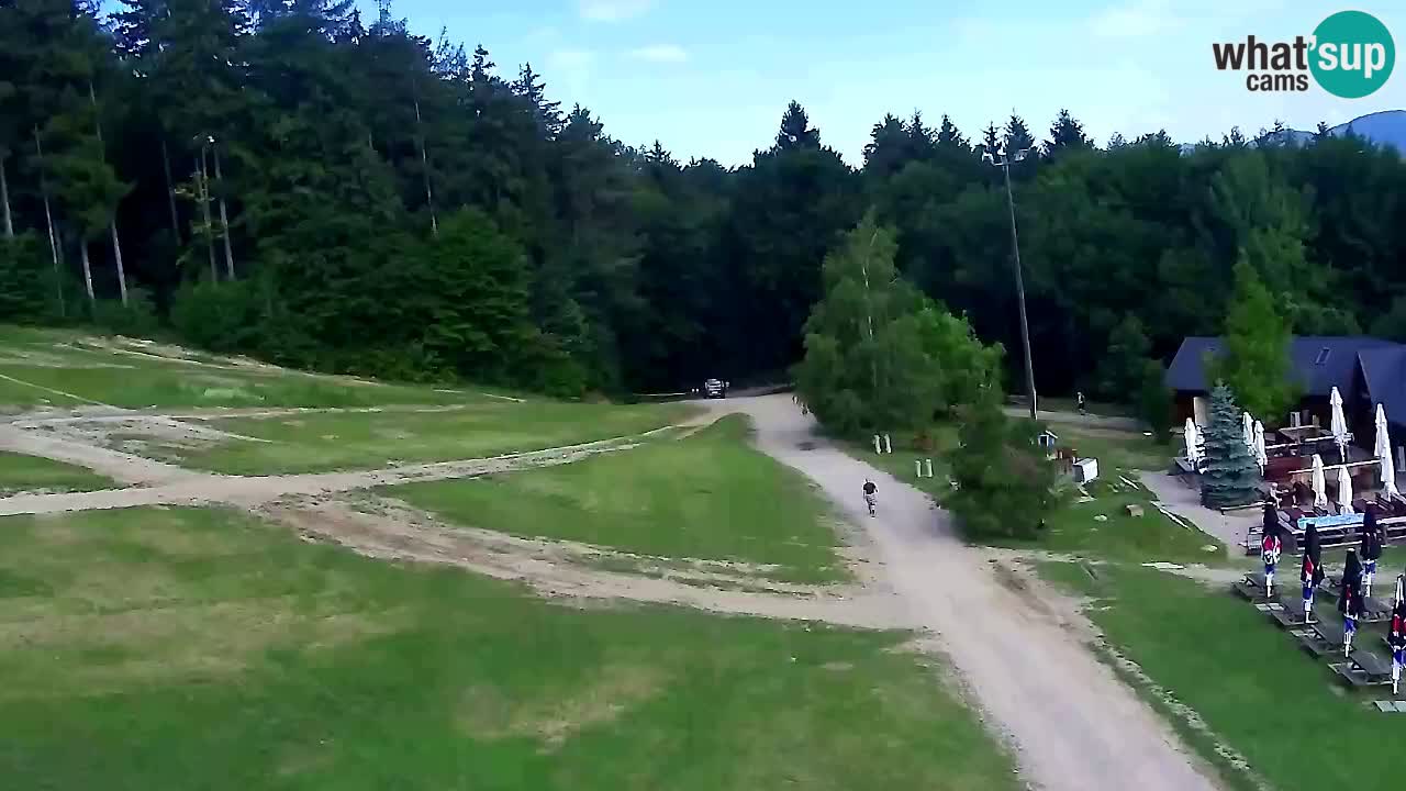 Webcam Pohorje Trikotna Jasa | Poštela