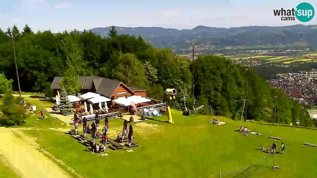 Webcam Pohorje Trikotna Jasa | Poštela