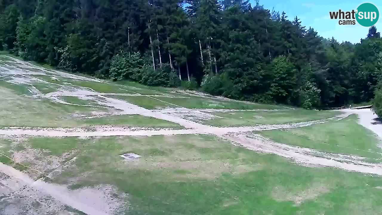 Webcam Pohorje Trikotna Jasa | Poštela