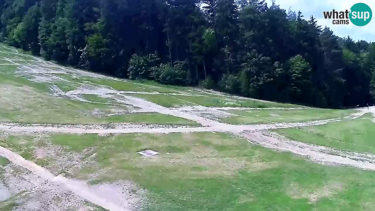 Webcam Pohorje Trikotna Jasa | Poštela