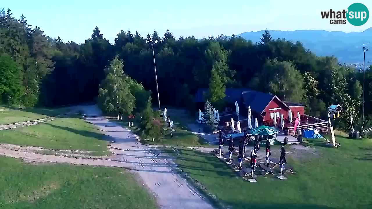 Web Camera Pohorje Trikotna Jasa | Poštela