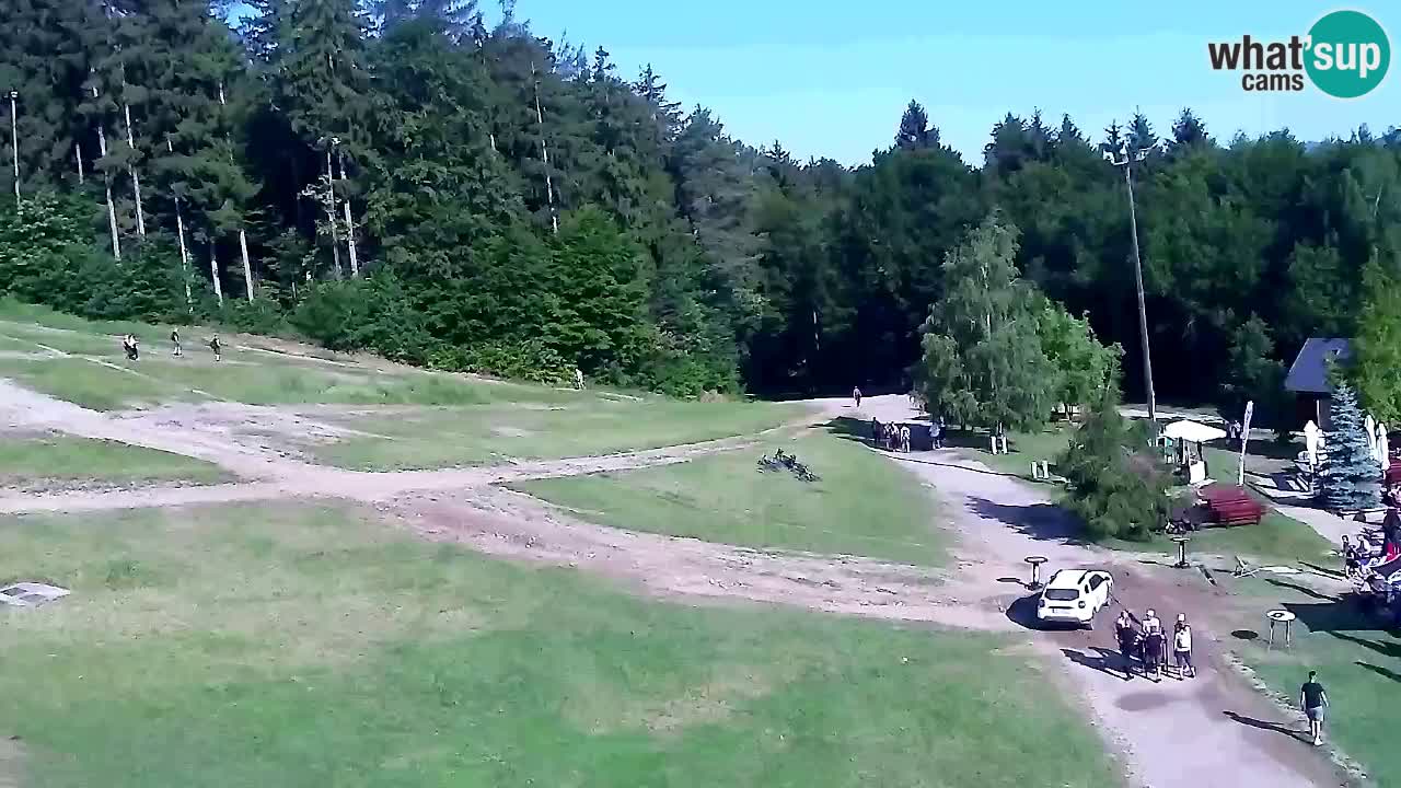 Webcam Pohorje Trikotna Jasa | Poštela