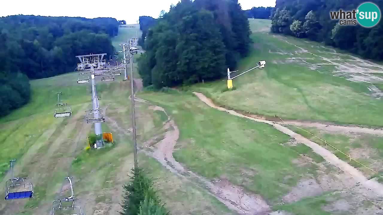 Webcam Pohorje Trikotna Jasa | Poštela