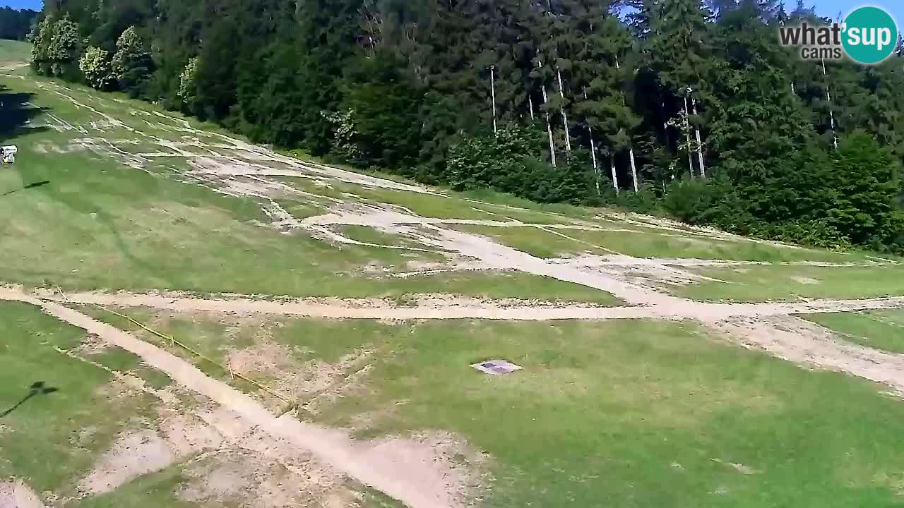 Webcam Pohorje Trikotna Jasa | Poštela