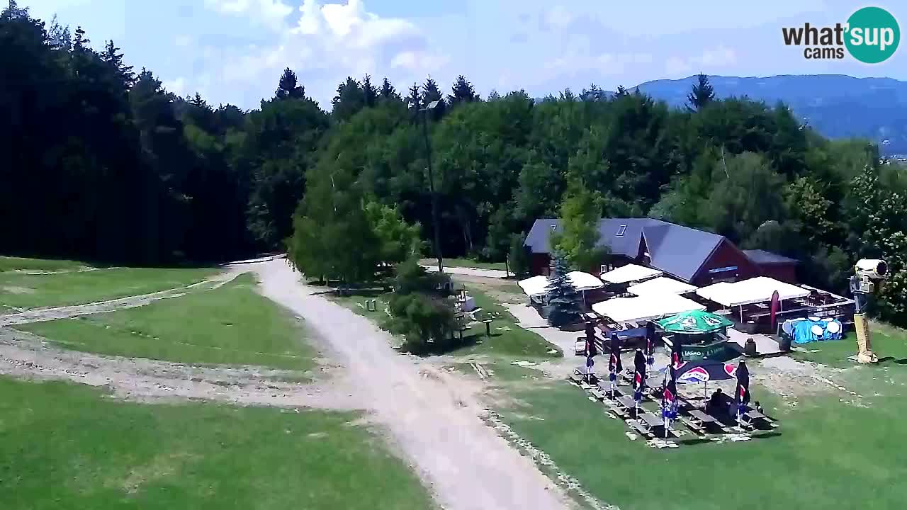 Web kamera Pohorje Trikotna Jasa | Poštela