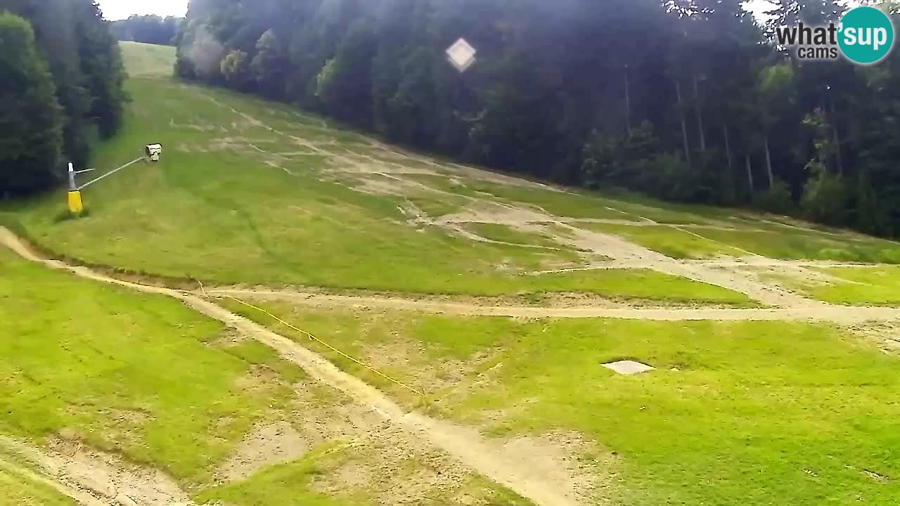 Webcam Pohorje Trikotna Jasa | Poštela