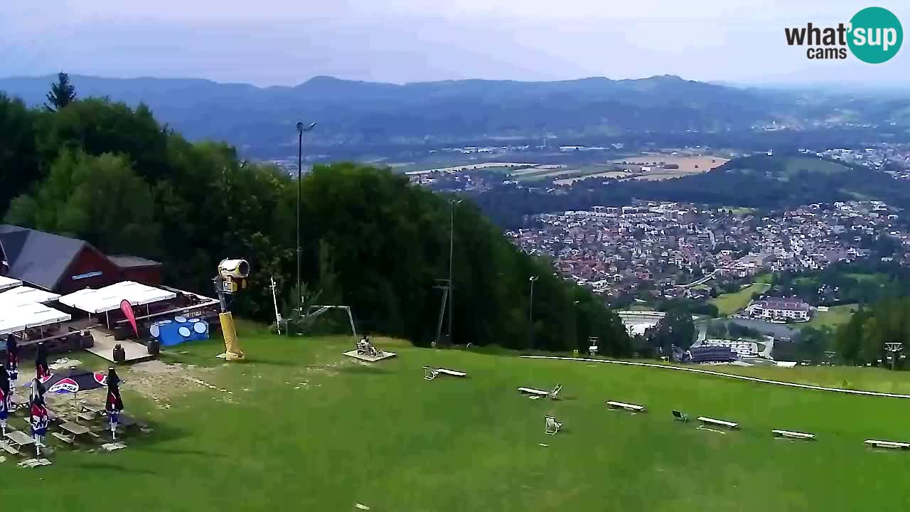Webcam Pohorje Trikotna Jasa | Poštela