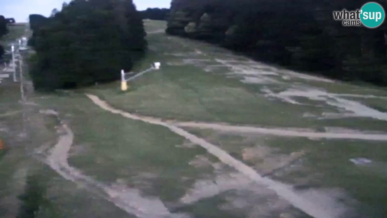 Webcam Pohorje Trikotna Jasa | Poštela