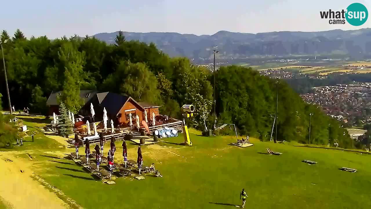 Webcam Pohorje Trikotna Jasa | Poštela