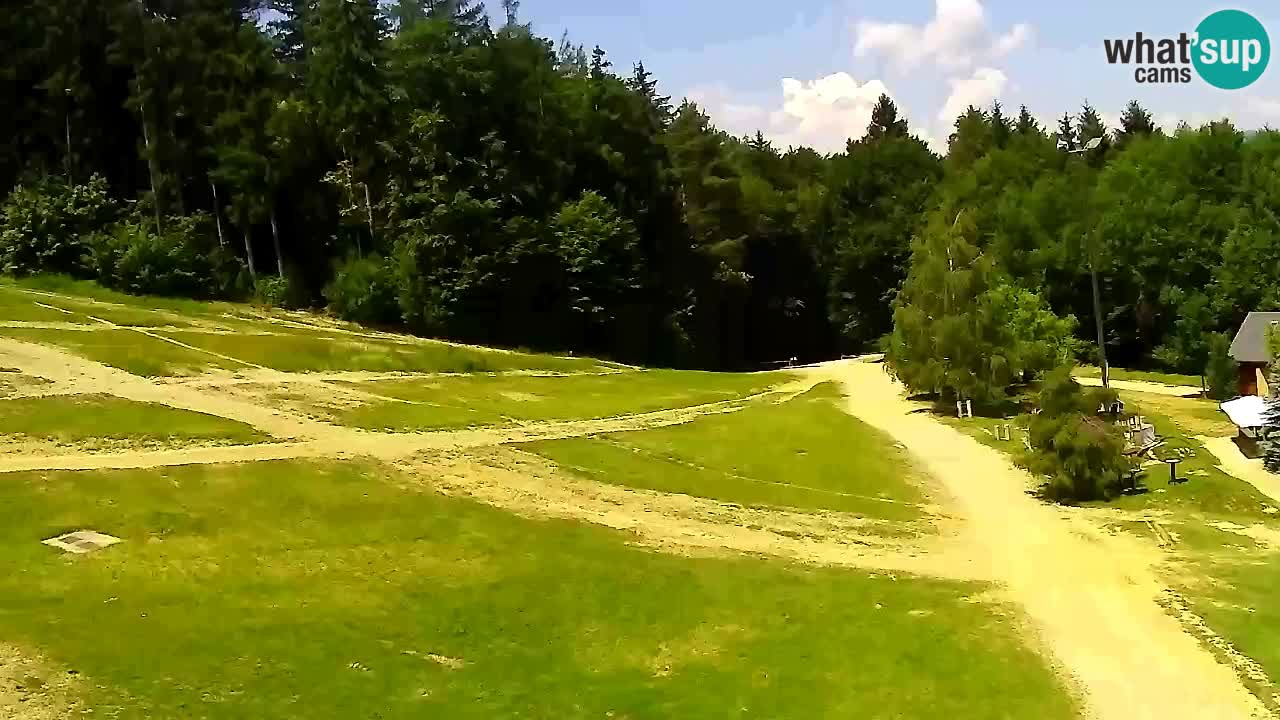 Webcam Pohorje Trikotna Jasa | Poštela
