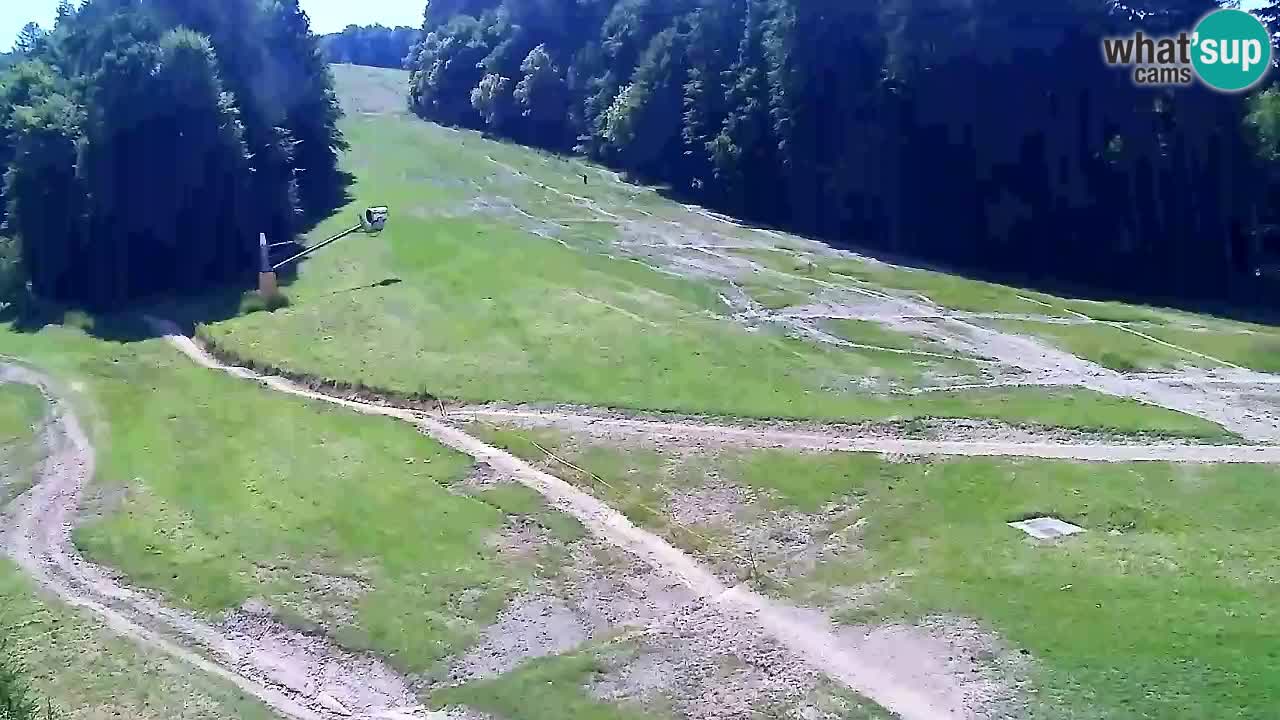 Webcam Pohorje Trikotna Jasa | Poštela