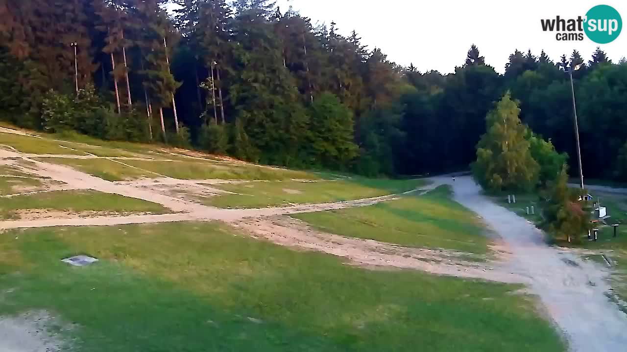 Webcam Pohorje Trikotna Jasa | Poštela