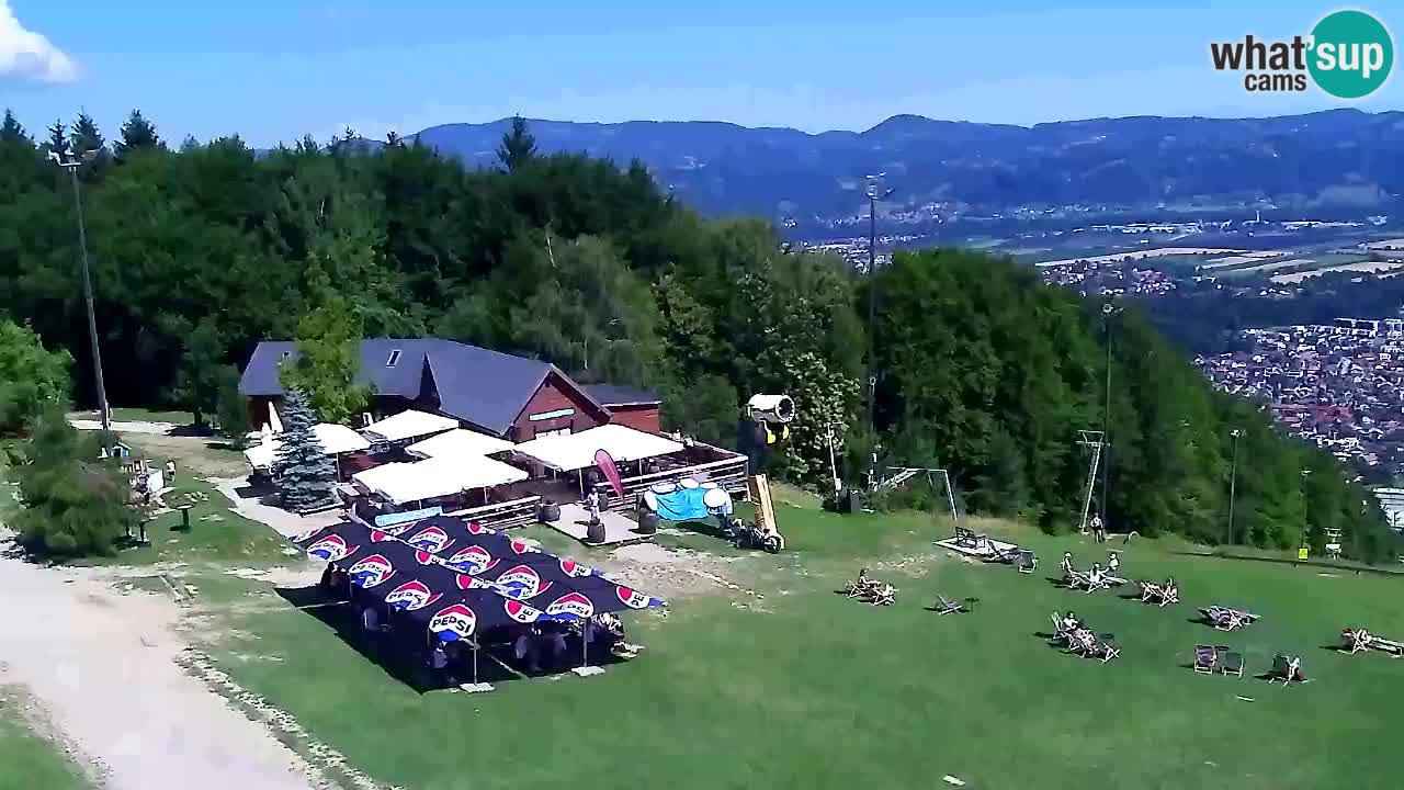 Webcam Pohorje Trikotna Jasa | Poštela