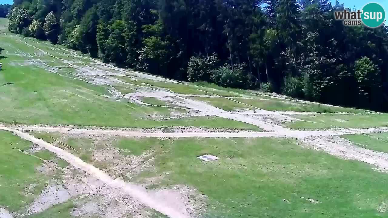 Webcam Pohorje Trikotna Jasa | Poštela