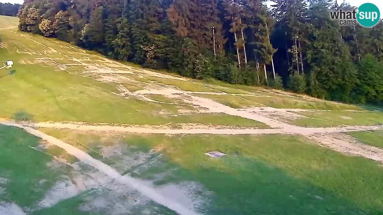 Webcam Pohorje Trikotna Jasa | Poštela