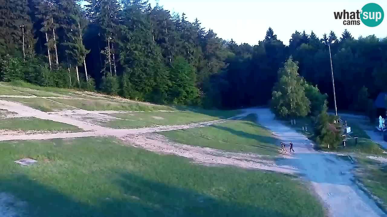 Webcam Pohorje Trikotna Jasa | Poštela