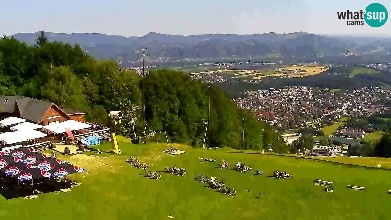 Webcam Pohorje Trikotna Jasa | Poštela