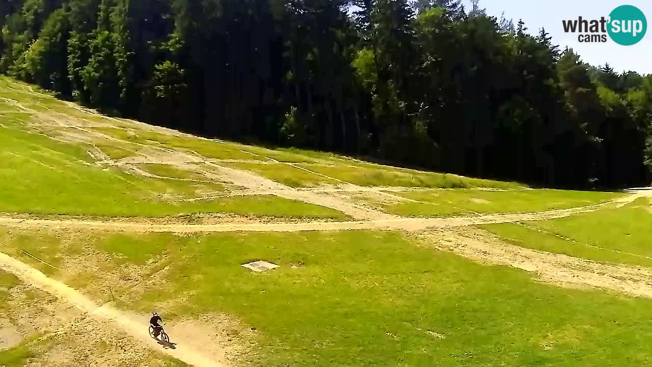 Spletna Kamera Pohorje Trikotna Jasa | Poštela
