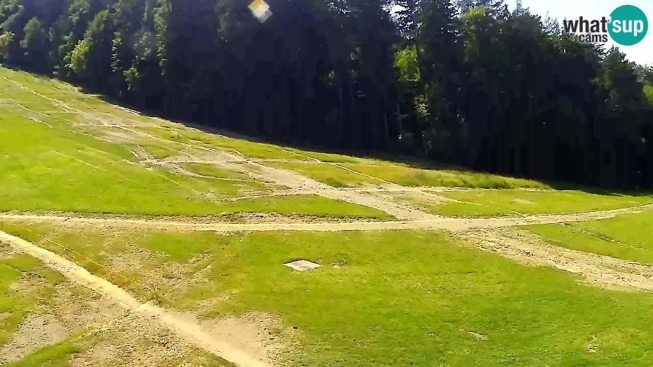 Web Camera Pohorje Trikotna Jasa | Poštela