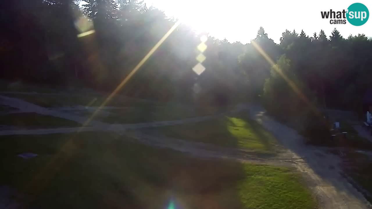 Webcam Pohorje Trikotna Jasa | Poštela