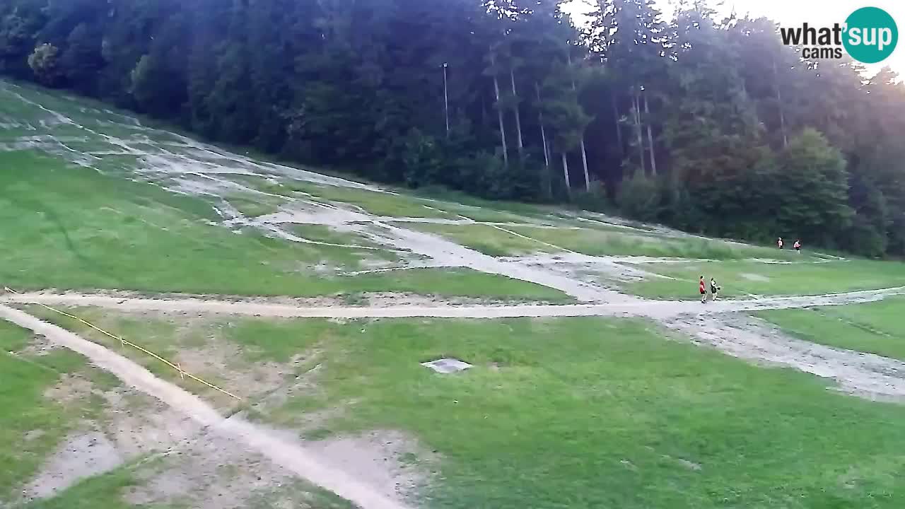 Webcam Pohorje Trikotna Jasa | Poštela