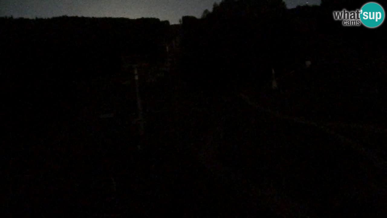Webcam Pohorje Trikotna Jasa | Poštela