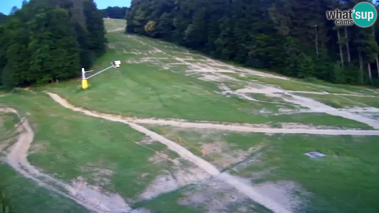 Webcam Pohorje Trikotna Jasa | Poštela