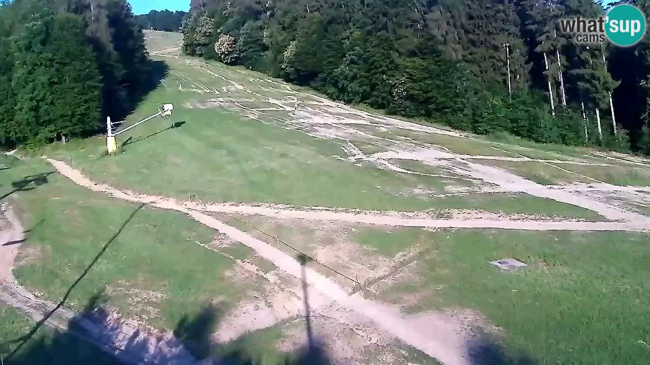 Webcam Pohorje Trikotna Jasa | Poštela