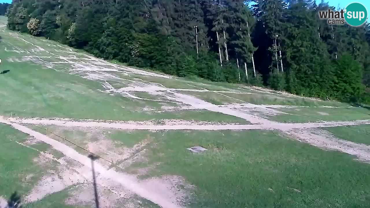 Webcam Pohorje Trikotna Jasa | Poštela