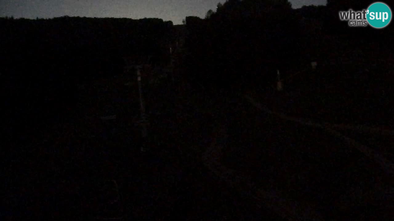 Webcam Pohorje Trikotna Jasa | Poštela