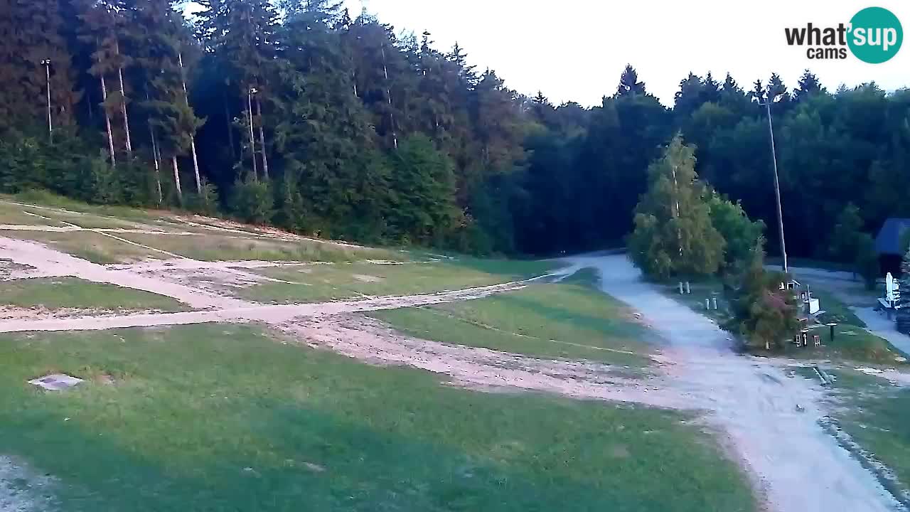 Webcam Pohorje Trikotna Jasa | Poštela