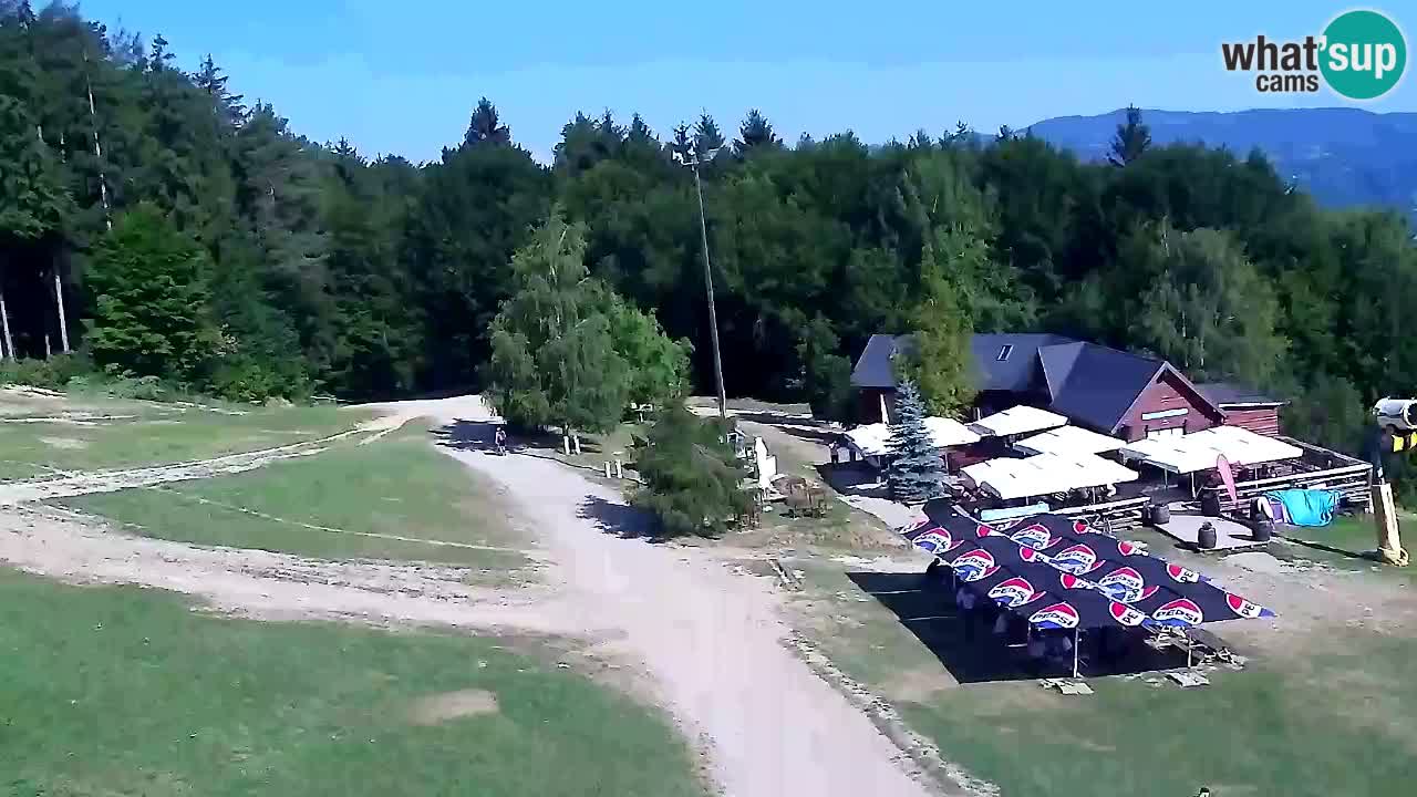 Webcam Pohorje Trikotna Jasa | Poštela