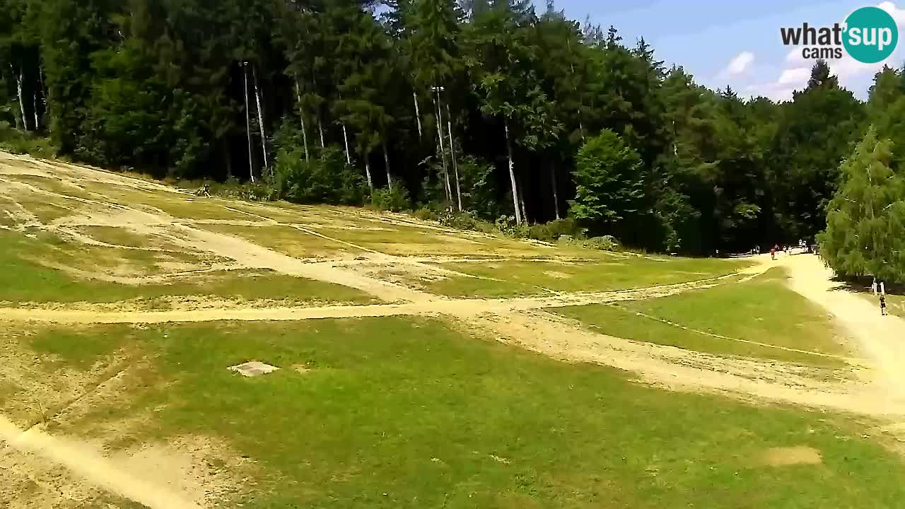 Webcam Pohorje Trikotna Jasa | Poštela