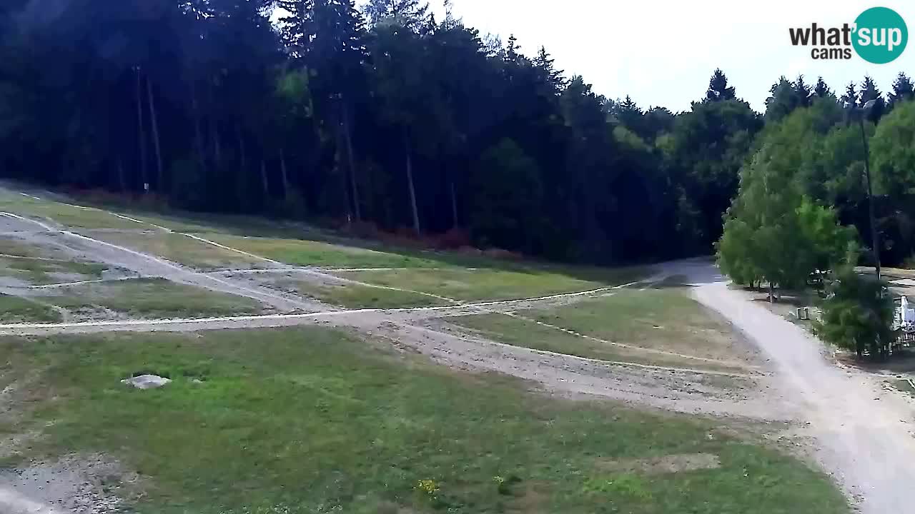 Web Camera Pohorje Trikotna Jasa | Poštela
