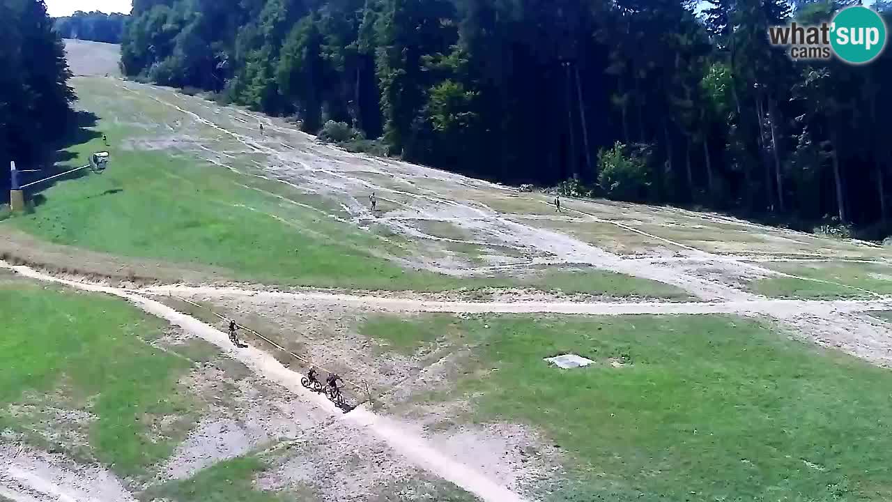 Webcam Pohorje Trikotna Jasa | Poštela