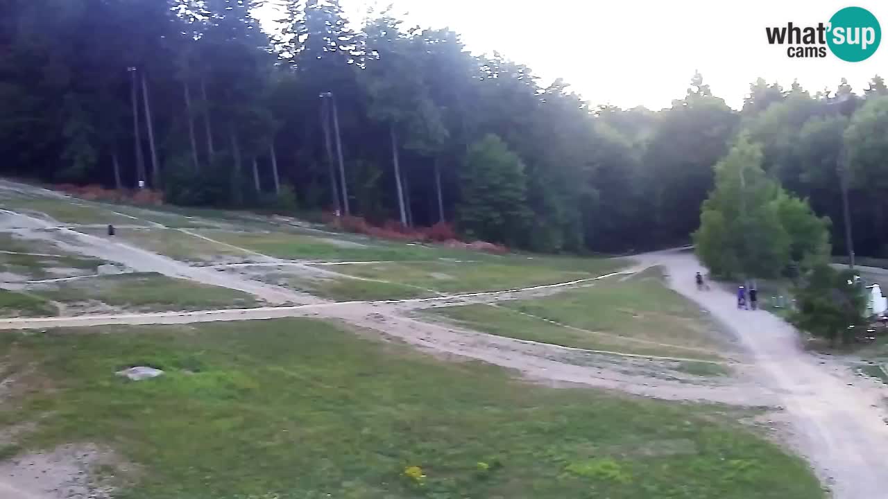 Webcam Pohorje Trikotna Jasa | Poštela