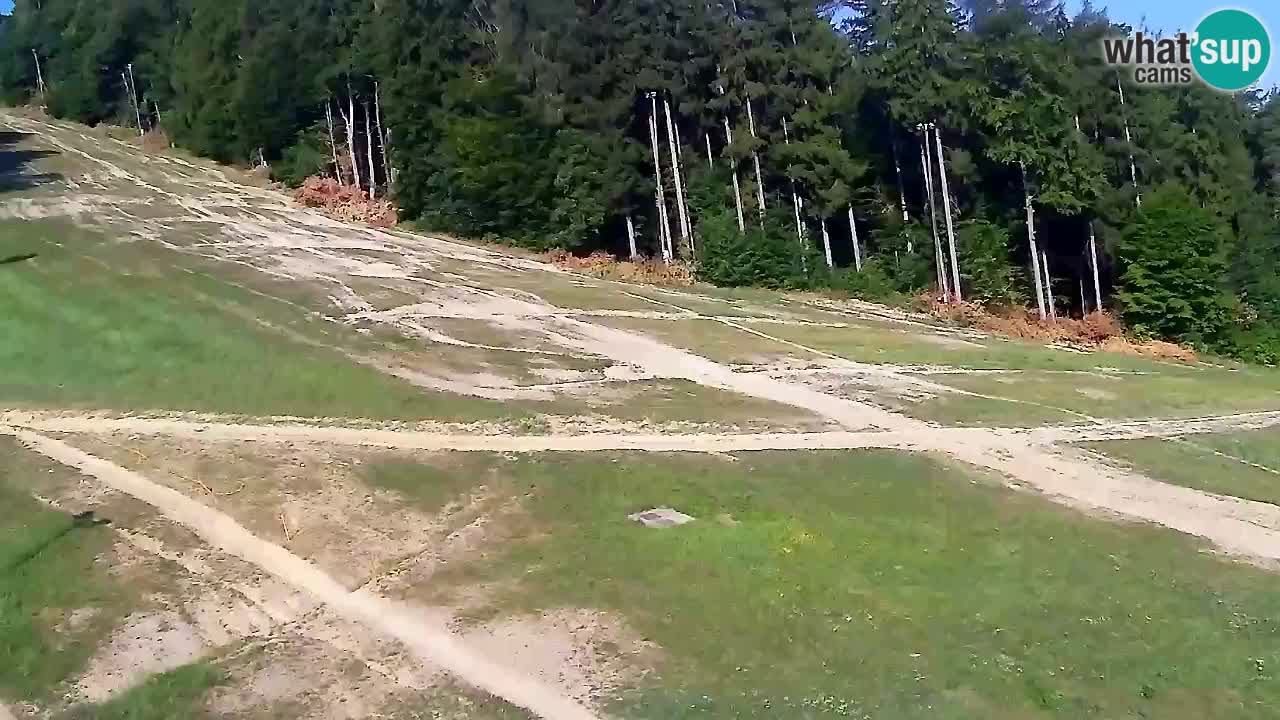 Webcam Pohorje Trikotna Jasa | Poštela
