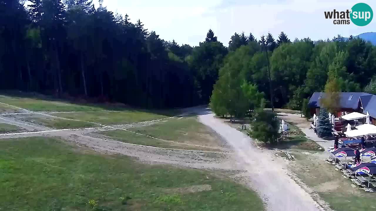 Webcam Pohorje Trikotna Jasa | Poštela