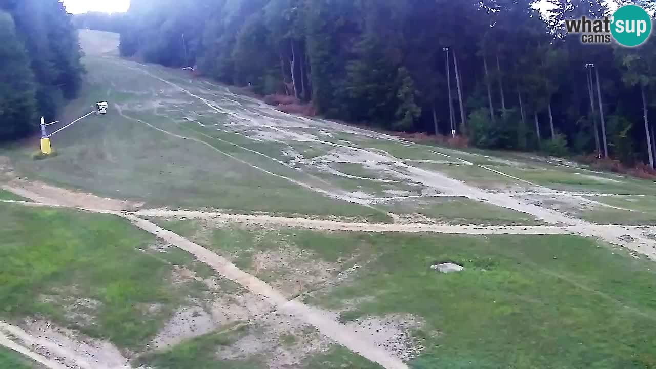 Webcam Pohorje Trikotna Jasa | Poštela