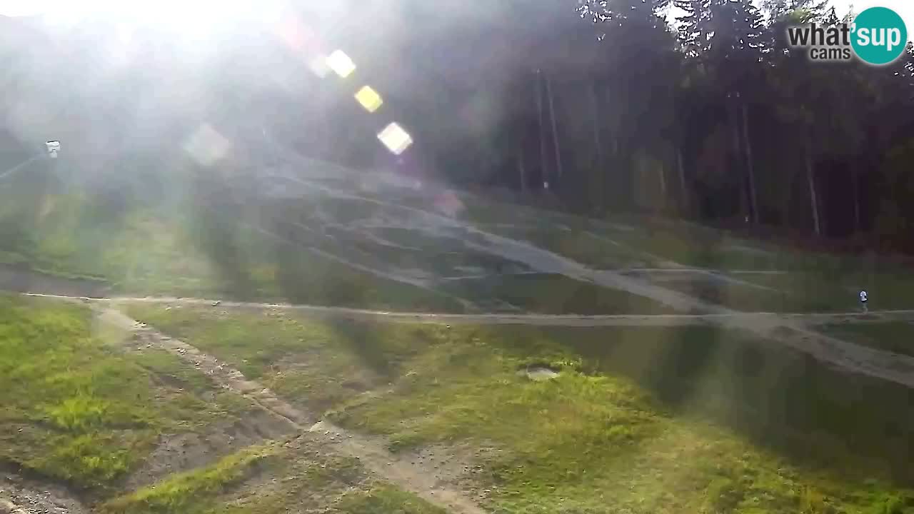 Webcam Pohorje Trikotna Jasa | Poštela