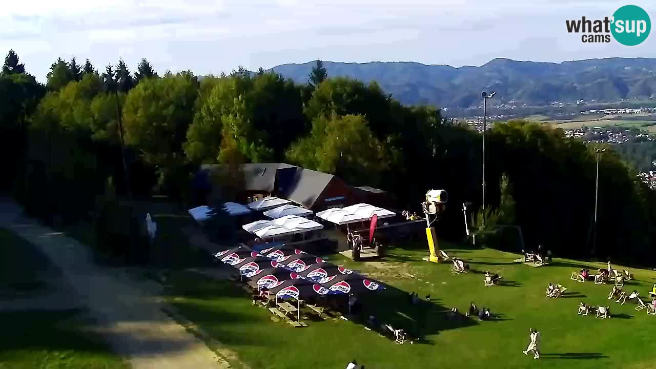 Webcam Pohorje Trikotna Jasa | Poštela