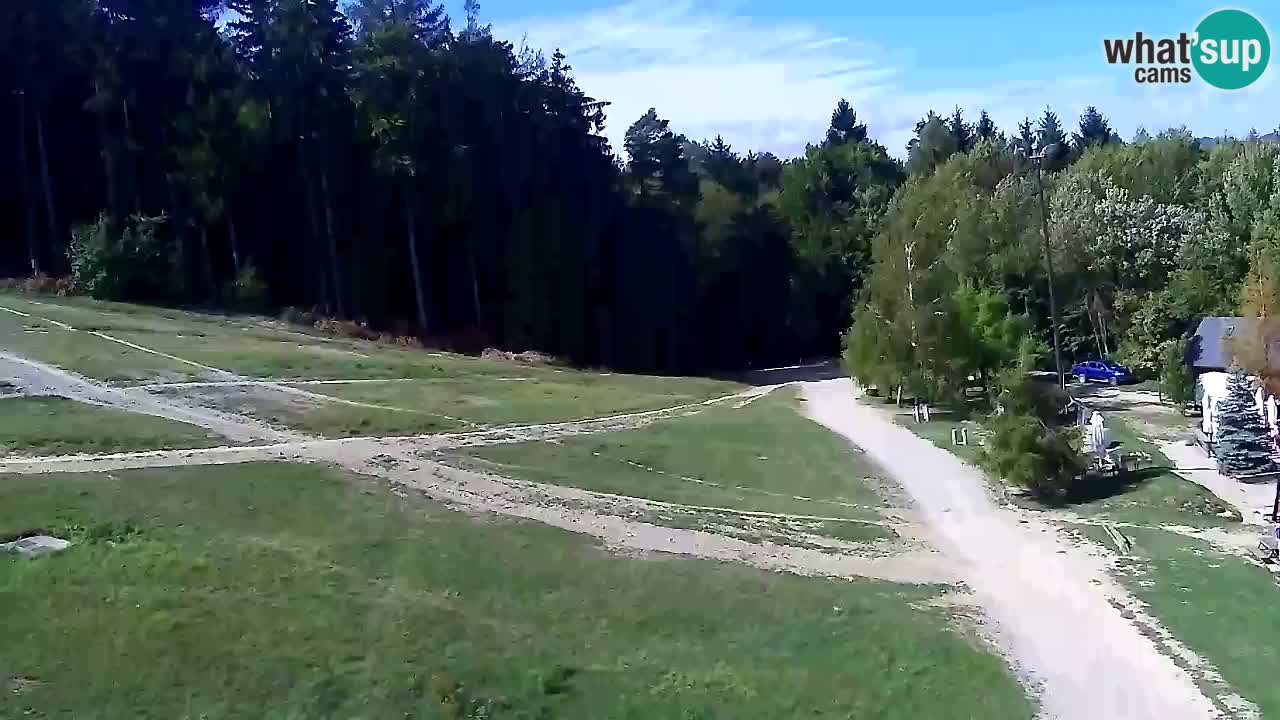 Webcam Pohorje Trikotna Jasa | Poštela